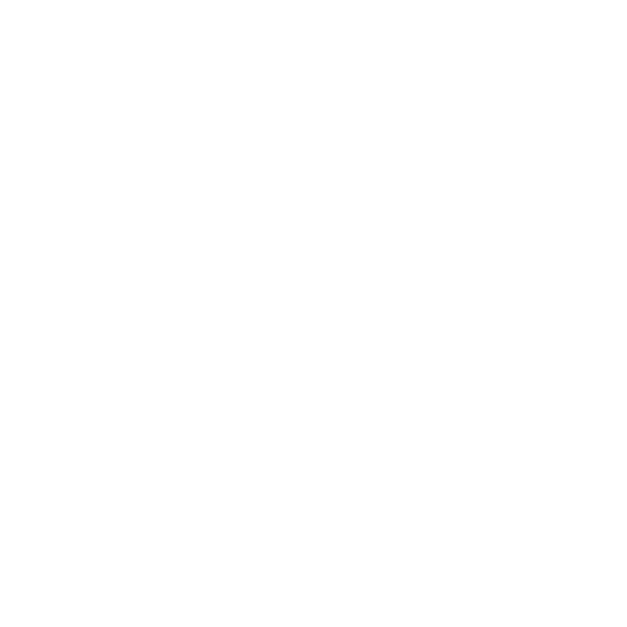 100% Vegan